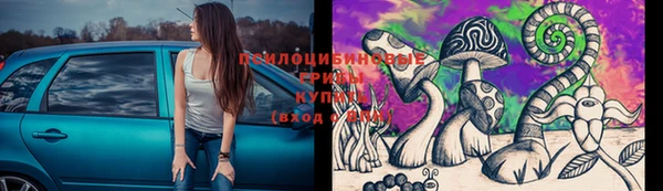 гидропоника Бугульма