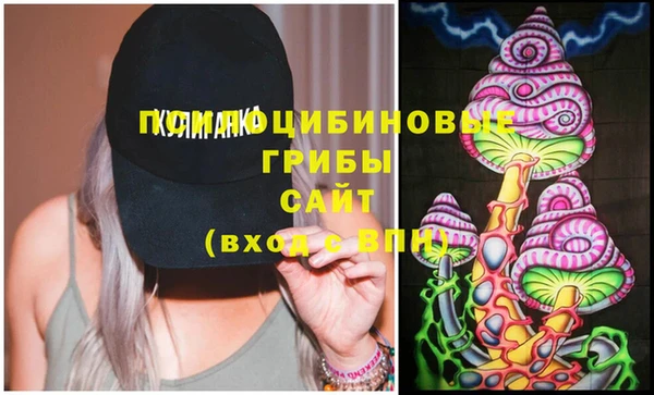 гидропоника Бугульма