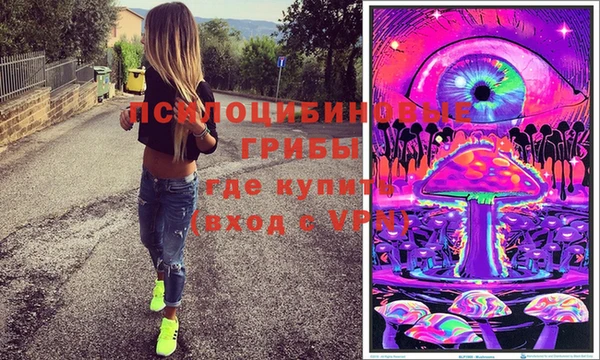 соль ск Бронницы