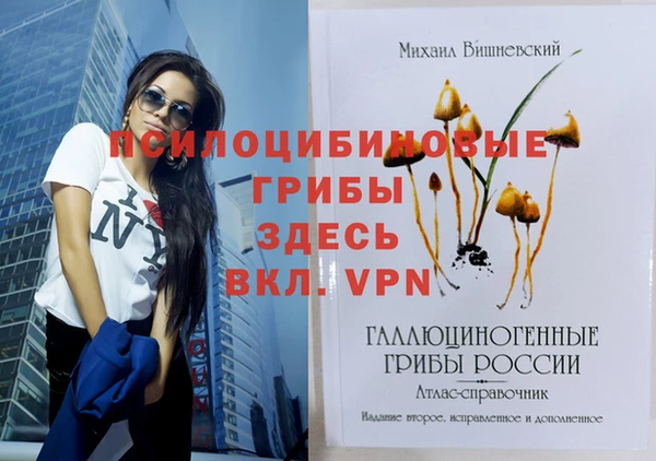 скорость mdpv Бородино